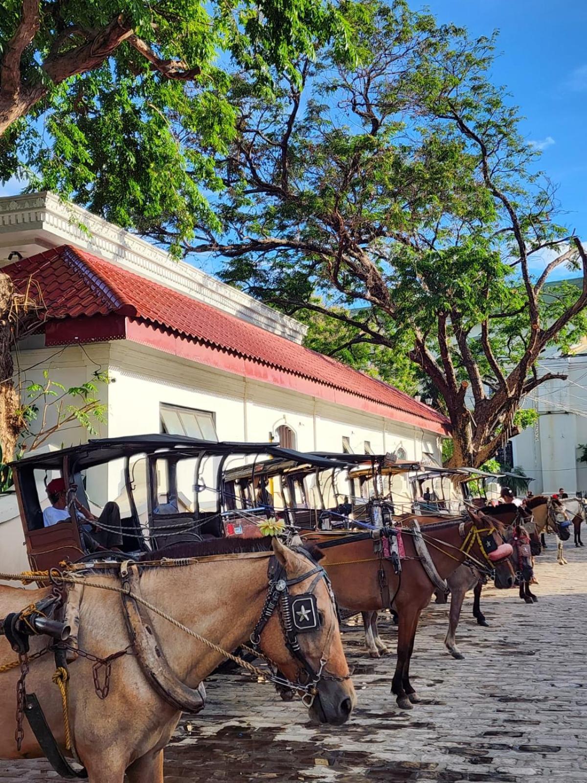 The Orange House - Vigan Villa Bagian luar foto