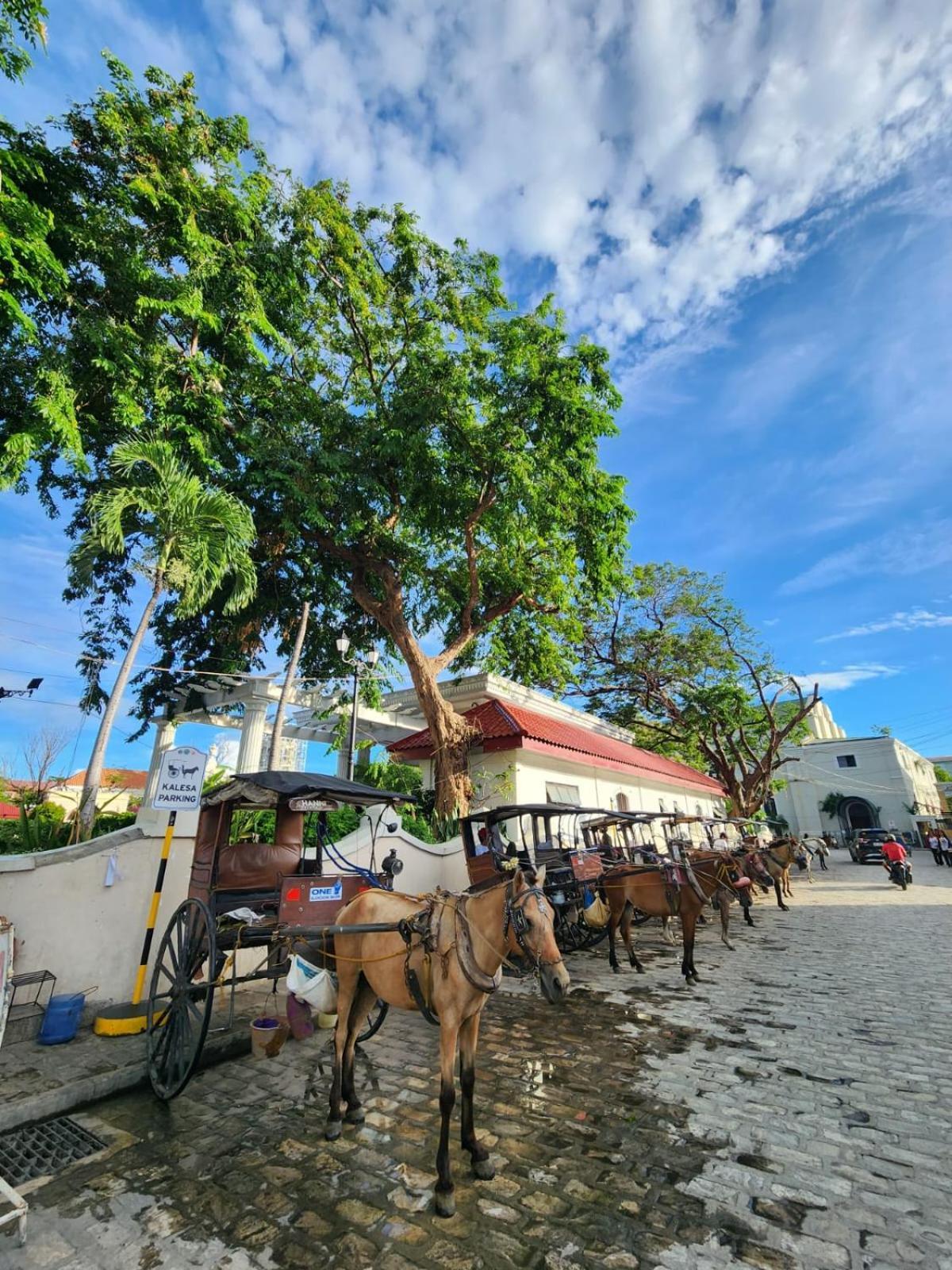 The Orange House - Vigan Villa Bagian luar foto